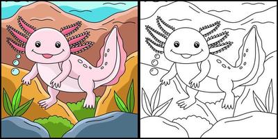 axolotl página para colorir ilustração colorida vetor