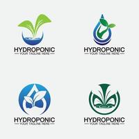 design de ilustração de ícone de vetor de logotipo hidropônico