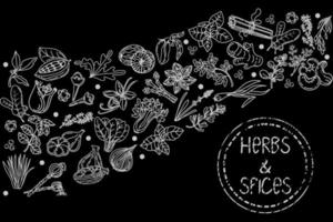 ervas e especiarias, elementos de estilo de esboço desenhados à mão. esboço de comida desenhado à mão. plantas aromáticas. design de embalagem de fundo preto. estilo de esboço. design de silhueta de especiarias e ervas. vetor