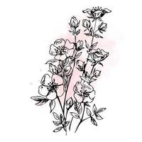 ilustração de ramos floridos de mão desenhada. vetor