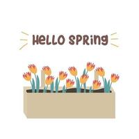 olá caixa de primavera com ilustração vetorial de flores vetor