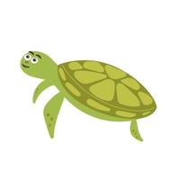 tartaruga verde sorridente engraçada vetor