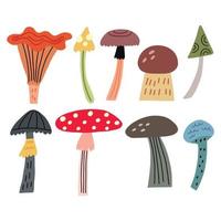 conjunto de cogumelos selvagens desenhados à mão vetor