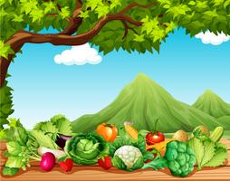 Frutas e legumes na mesa vetor