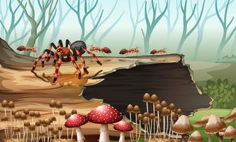 Aranha e formigas na floresta vetor