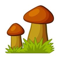 cogumelos. elemento de outono da floresta e da natureza. Comida natural. vetor