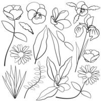 amor-perfeito íris plumeria margarida folha flor silhueta floral contorno elemento de linha vetor