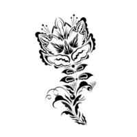 mão desenhada ilustração vetorial isolado. rosas de contorno elegante em estilo vintage. vetor