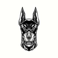 ilustração de logotipo desenho de mão doberman cão vintage vetor