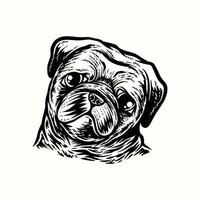 ilustração desenho à mão cachorro pug vintage vetor