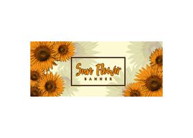 Design de Banner de flor de sol vetor