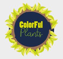 Projeto de plantas coloridas vetor