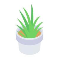 ícone isométrico da planta de aloe vera, decoração de interiores vetor