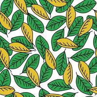 deixa padrão sem costura, folhas de outono verdes e amarelas em estilo doodle em um fundo branco vetor