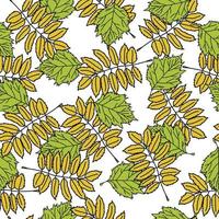 folhas e galhos sem costura padrão, folhas de outono verdes e amarelas em estilo doodle em um fundo branco vetor