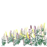 Ilustração das ações em vetor prado grama. fronteira de flores silvestres para cartão de primavera. espaço para texto. flora alpina. Isolado em um fundo branco.