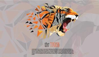 resumo de arte de ilustração vetorial de baixo poli tigre vetor