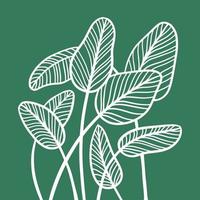 grupo de folhas abstratas em estilo de desenho linear. arte de contorno minimalista na moda de folha de palmeira tropical. ilustração em vetor mão desenhada de planta exótica isolada em fundo verde.