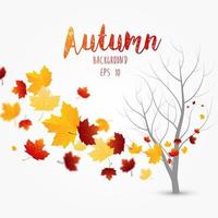 fundo de folhas de outono voando vetor