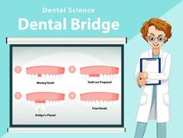 infográfico de humano na ponte dental vetor