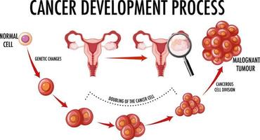 diagrama mostrando o processo de desenvolvimento do câncer
