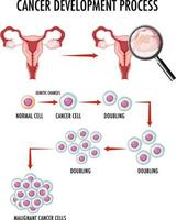 diagrama mostrando o processo de desenvolvimento do câncer vetor