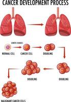 diagrama mostrando células normais e cancerosas em humanos vetor