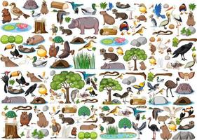 diferentes tipos de coleção de animais selvagens vetor