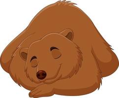 urso pardo engraçado dos desenhos animados dormindo vetor