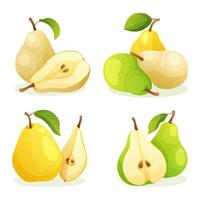 conjunto de várias frutas frescas de pera inteira e metade cortada ilustração isolada no fundo branco vetor
