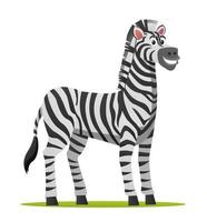 ilustração de desenho animado de zebra isolada no fundo branco vetor