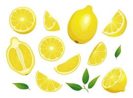 conjunto de ilustração de limão inteiro fresco, metade e fatia cortada isolada no fundo branco vetor