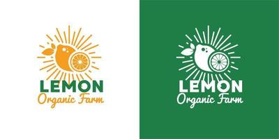 gráfico de ilustração vetorial de limão amarelo brilhante fresco da fazenda orgânica bom para limão logotipo vintage logotipo de frutas fazenda orgânica, varejo, mercearia do mercado de frutas vetor