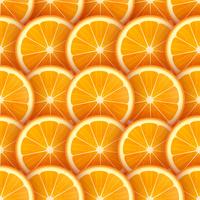 Fundo de vetor de fatias de laranja
