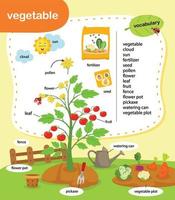 ilustração em vetor de vegetais de vocabulário de educação