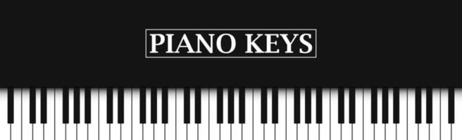 teclas de piano preto e branco de fundo preto realista - vetor