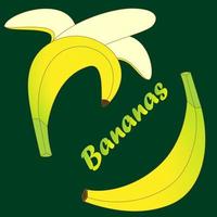conjunto de vetores de bananas amarelas dos desenhos animados. banana verde e banana descascada em um fundo verde escuro. ilustração vetorial para mercado de agricultores, ícone de aplicativo móvel, etc.