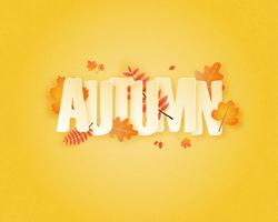 Caligrafia com folhas de outono vetor