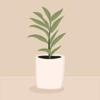 planta em casa dracaena. decoração de casa elegante moderna. ilustração vetorial isolada em fundo bege vetor