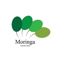 design de vetor de ilustração de logotipo de folha de moringa