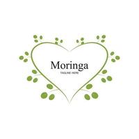 design de vetor de ilustração de logotipo de folha de moringa