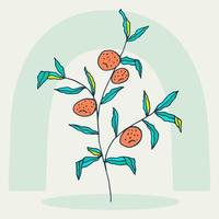 laranjeira desenhada à mão em estilo doodle. laranja. desenho de árvore frutífera. tons pastéis. vetor de fundo botânico de arte abstrata. alimentos saudáveis frescos.