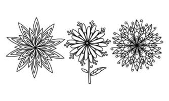 conjunto de flores estilo doodle, linha preta isolada no fundo branco. mandala vetorial para design, scrapbooking, padrões, livros para colorir. vetor
