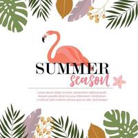 Design de cartão de verão Flamingo vetor
