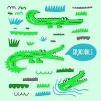 coleção de crocodilos bonitos dos desenhos animados em diferentes poses e natureza