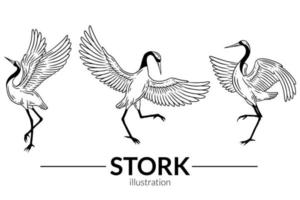 conjunto pássaro cegonha voando desenhos animados tropicais pássaros selvagens guindastes desenhados à mão vetor