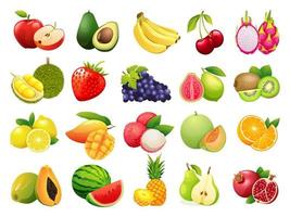 conjunto de ilustração de frutas coloridas vetor