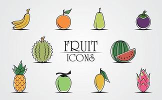 conjunto de ícones de frutas de luxo vetor