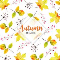 Fundo bonito de folhas de outono em aquarela vetor
