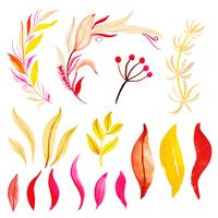 Coleção bonita de folhas de outono em aquarela vetor